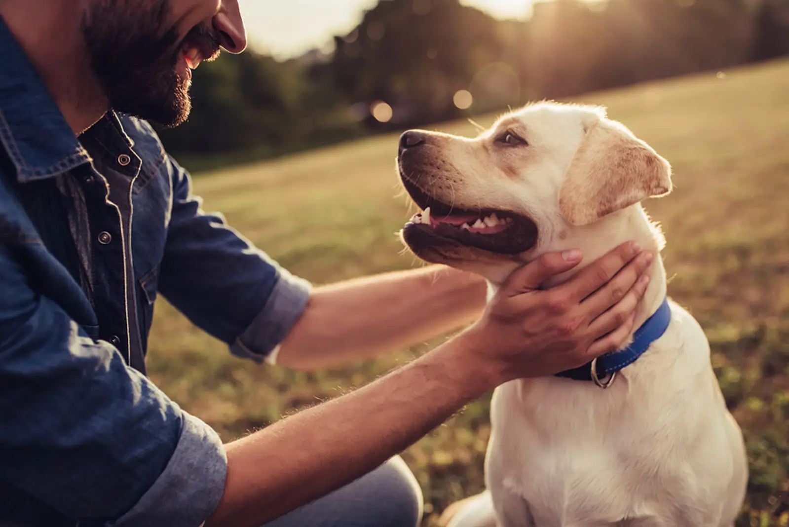 Paws, Policies, and Profit: How Gilbert Landlords Can Embrace Pet-Friendly Rentals Without the Risk